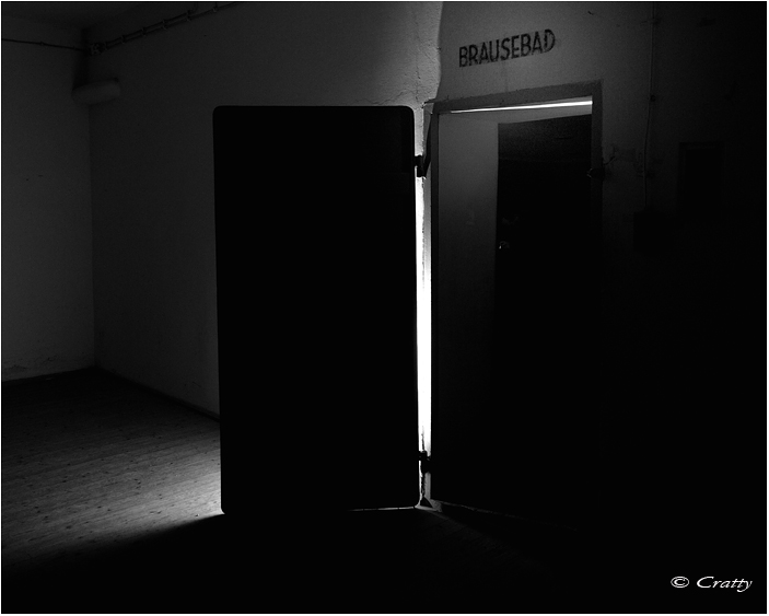 Copyright Stefano Maselli